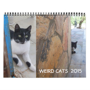 KONSTIG CATS 2017 KALENDER