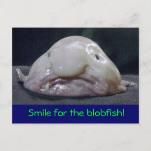 konstig fisk vykort