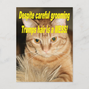 Konstig gamle Trump Vykort