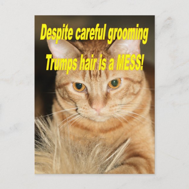 Konstig gamle Trump Vykort (Framsida)