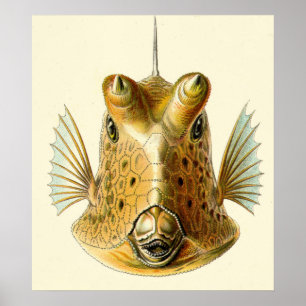 Konstig Horned fisk Poster