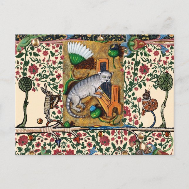 Konstig medeltida bestiärmusik, KATT SPELAR ORGEL  Vykort (Framsida)