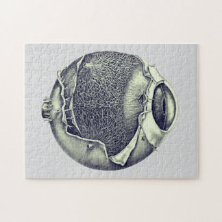 Konstig Modern Vintage Eyeball Detail Teckning Grå Pussel