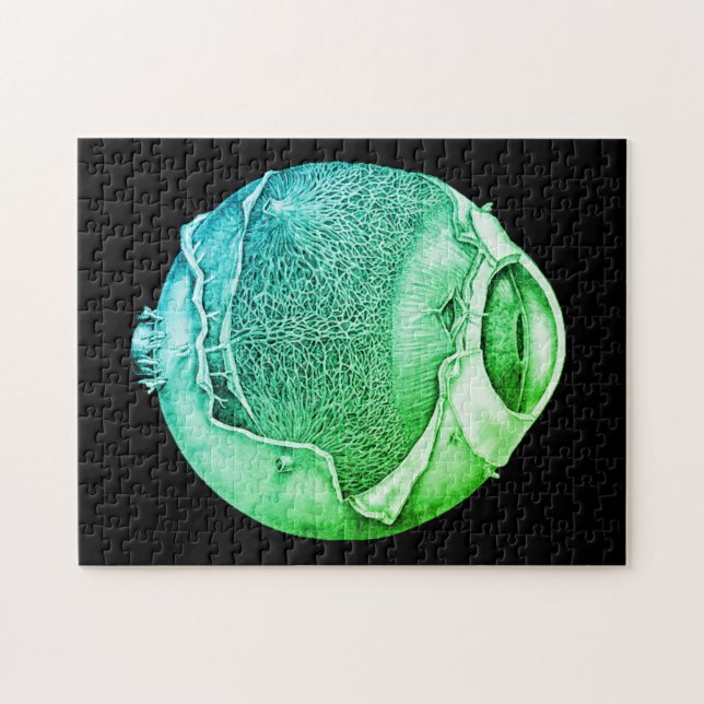 Konstig Modern Vintage Eyeball Detail Teckning Grö Pussel (Horisontell)