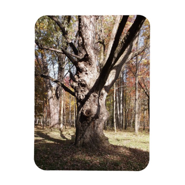 Konstig Träd Magnet (Vertikal)