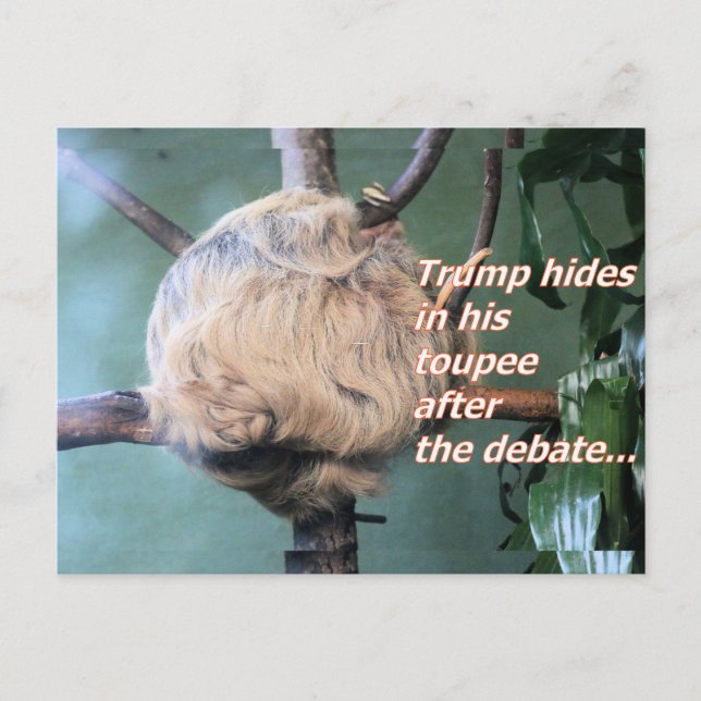 Konstig Trump Förlorad vykort (Framsida)