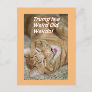 Konstig Trump Helg Vykort