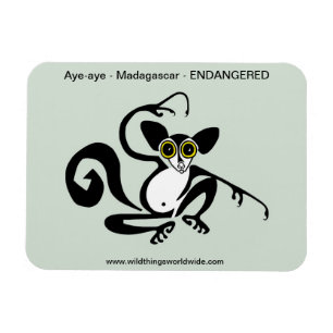 Konstig vilt - AYE-AYE -Primate - Lemur - Magnet