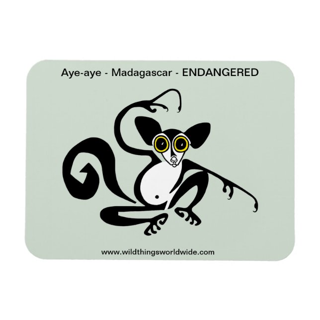Konstig vilt - AYE-AYE -Primate - Lemur - Magnet (Horisontell)