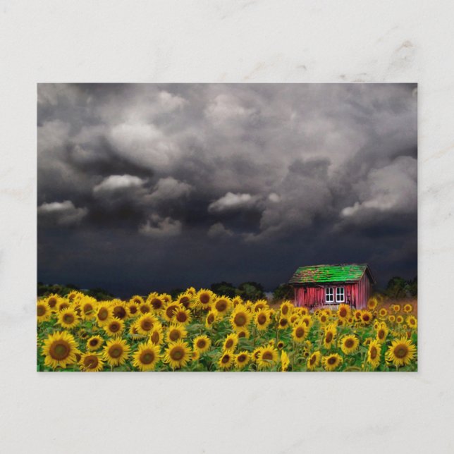 Konstigt, vykort (Framsida)