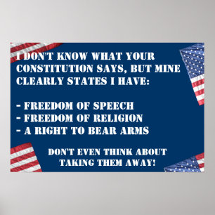 KONSTITUTIONELL RÄTTIGHETAFFISCH POSTER