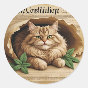 Konstitutionen och fångsten - Patriotic Cat Sticke Runt Klistermärke