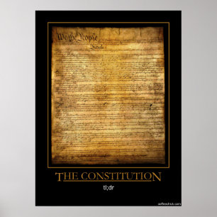 Konstitutionen Poster