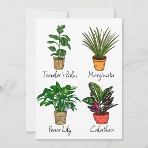 Konstkort för hand plockade House Plants Art Card Kort