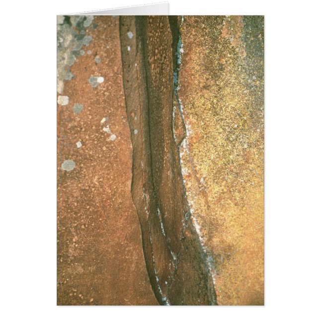 Konstnären pekar #1 hälsningskort (Framsidan)