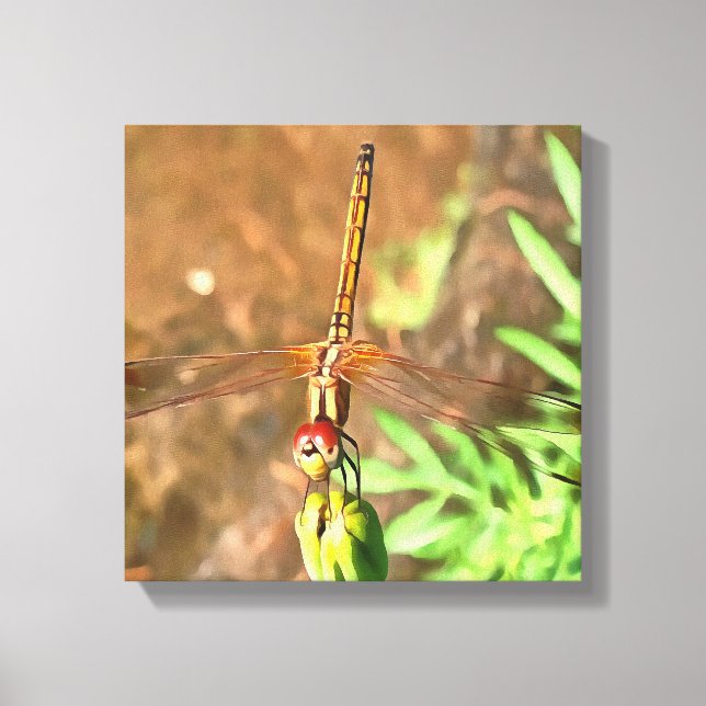 Konstnärlig Dragonfly som vilar på ett underordnat Canvastryck (Framsida)