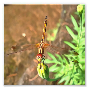 Konstnärlig Dragonfly som vilar på ett underordnat Fototryck