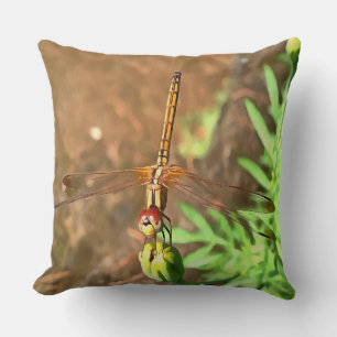 Konstnärlig Dragonfly som vilar på ett underordnat Kudde