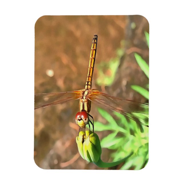 Konstnärlig Dragonfly som vilar på ett underordnat Magnet (Vertikal)