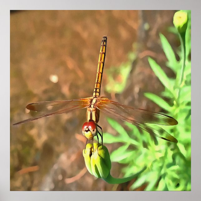 Konstnärlig Dragonfly som vilar på ett underordnat Poster (Framsidan)