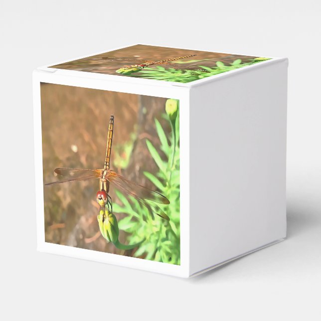 Konstnärlig Dragonfly som vilar på ett underordnat Presentaskar (Framsidan Sidan)