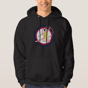 Konstnärlig Gymnastik USA olympiska gymnaster USA Hoodie