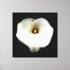 Konstnärlig Hjärtformade Calla Lily-isolerad Canvastryck