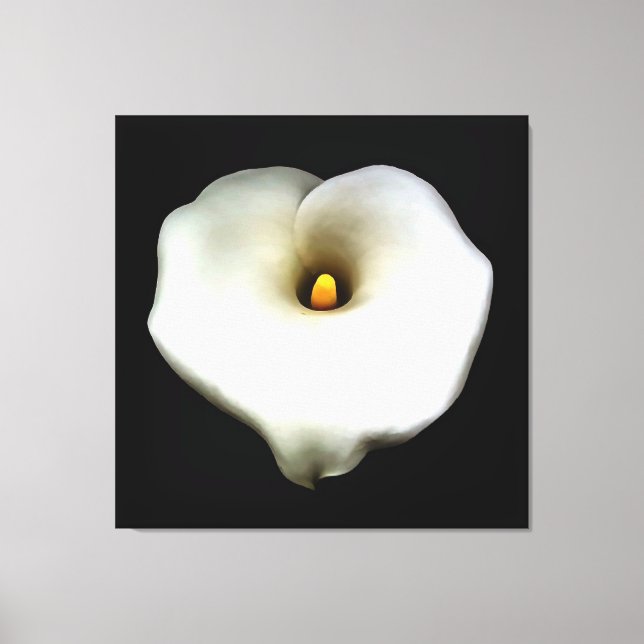 Konstnärlig Hjärtformade Calla Lily-isolerad Canvastryck (Framsida)