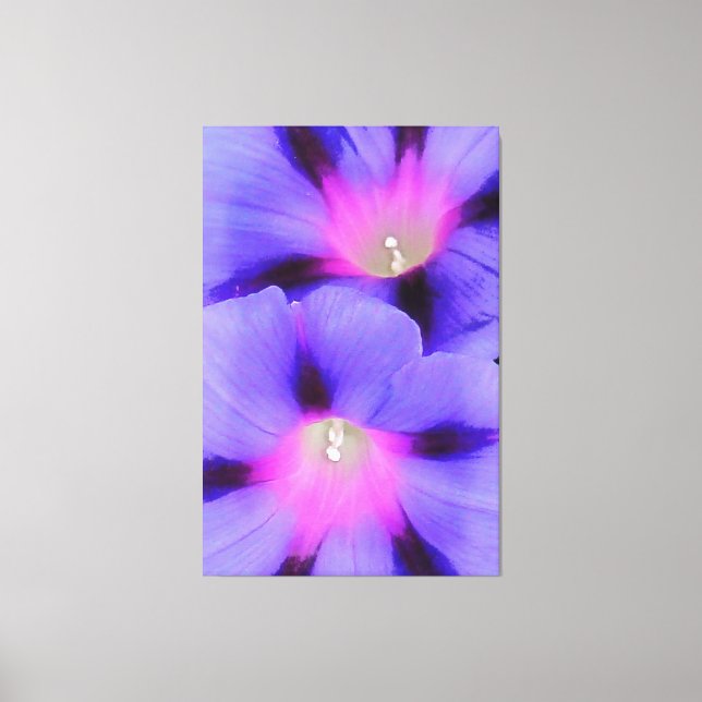 Konstnärlig Lila och Rosa Färgad God morgon Glory Canvastryck (Framsida)