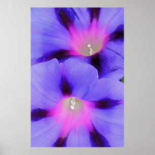 Konstnärlig Lila och Rosa Färgad God morgon Glory Poster