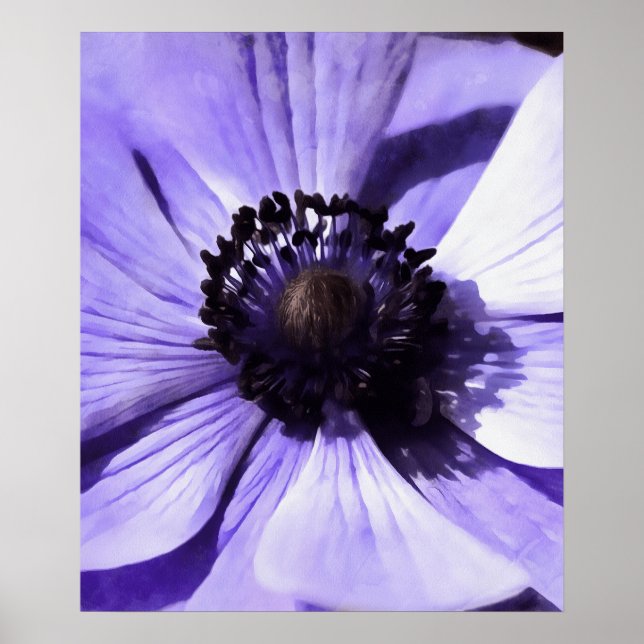 Konstnärlig Lilac Blue Anemone Wildblomma Poster (Framsidan)