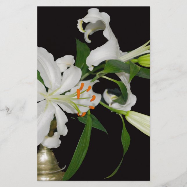 Konstnärlig Lily-samling-1 Brevpapper (Framsida)