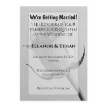 Konstnärlig minimalistisk svart-vit ros-knopp