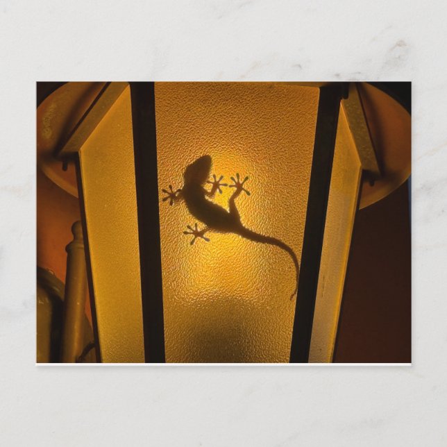 Konstnärlig ödleillustration vykort (Framsida)