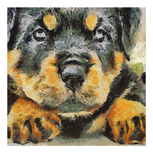 Konstnärlig rottweiler Puppy Porträtt Fototryck