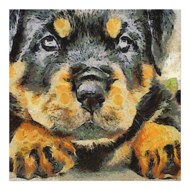 Konstnärlig rottweiler Puppy Porträtt Fototryck (Framsidan)