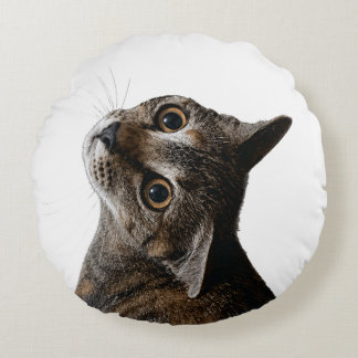 Konstnärlig Tabby Katt Porträtt Foto Rund Kudde