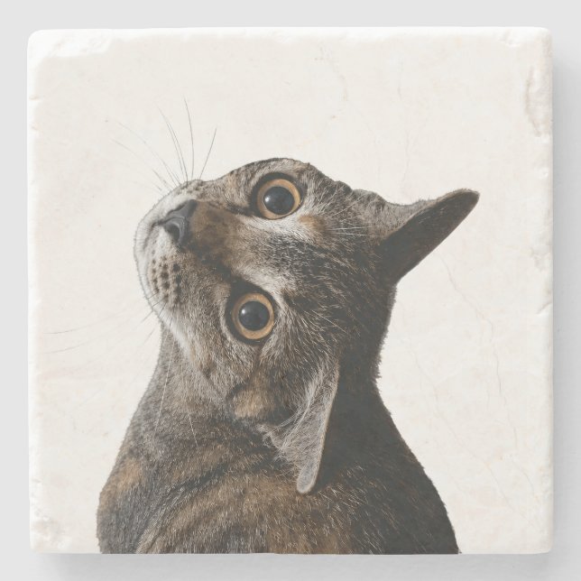 Konstnärlig Tabby Katt Porträtt Foto Stenunderlägg (Framsidan)