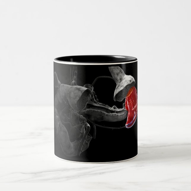 Konstnärlig tolkning 3d av spleenen Två-Tonad mugg (Center)
