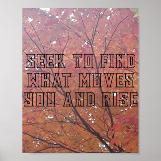 Konstnärlig utskrift, Poster Pappert (projektionsy