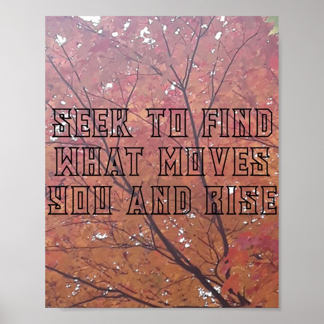 Konstnärlig utskrift, Poster Pappert (projektionsy (Framsidan)