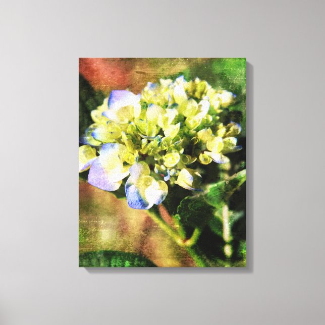 Konstnärliga Hydrangea Fotography Canvastryck (Framsida)