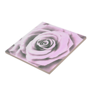 Konstnärliga Rosa ros rb Kakelplatta