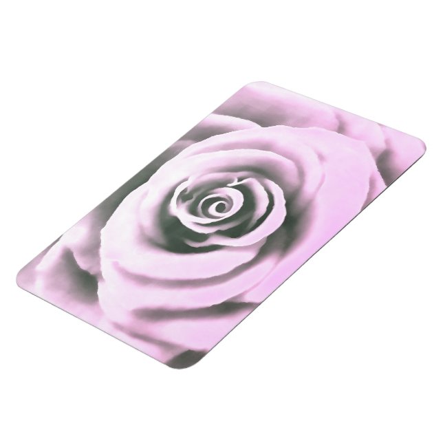 Konstnärliga Rosa ros rb Magnet (Vänstra Sidan)