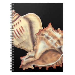 Konstnärliga Snäckor Anteckningsbok Med Spiral
