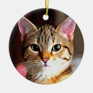Konstnärliga Tabby katt Kitten Porträtt Julgransprydnad Keramik