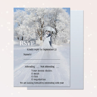 Konstnärligt Winter Wonderland Dream Bröllop OSA C Inbjudningar