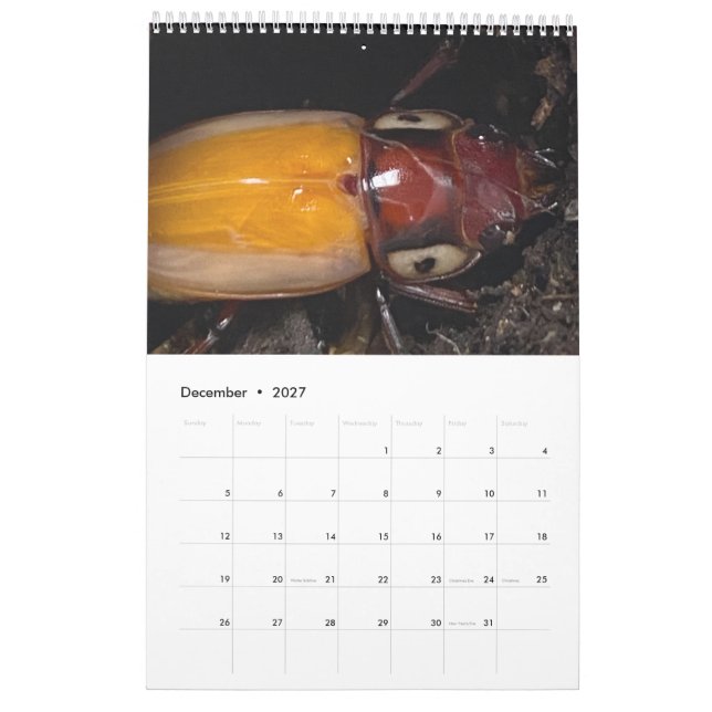 Konstnärsfoto Kalender (Dec 2027)