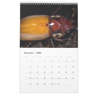 Konstnärsfoto Kalender