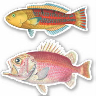 Konstnärsintryckning Tropical Fish Illustration Vi Klistermärken
